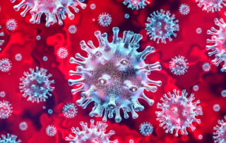 coronavirus