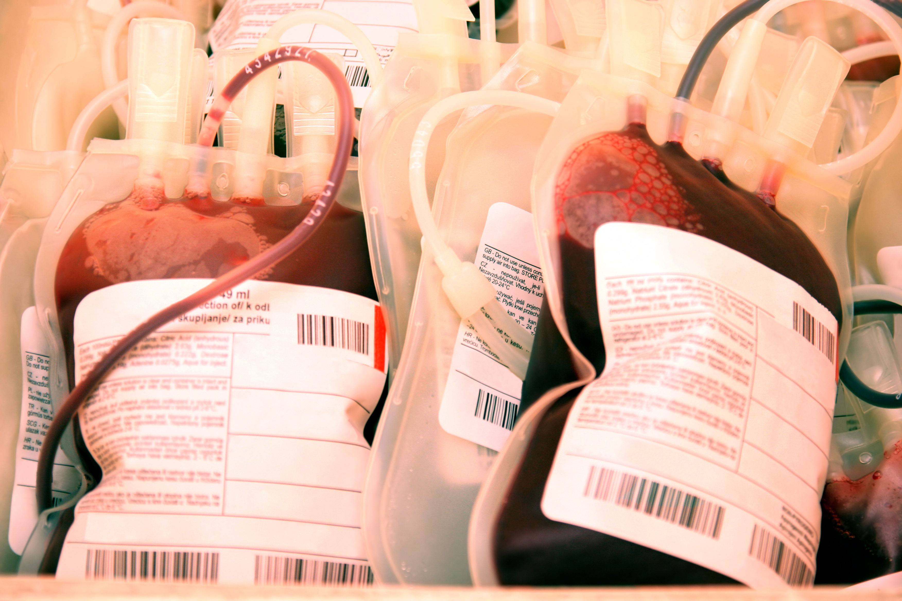 sangue donare