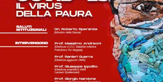 Colsulcesi